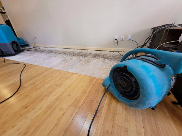 Professional Flood Damage Cleanup technician working in La Farge, WI